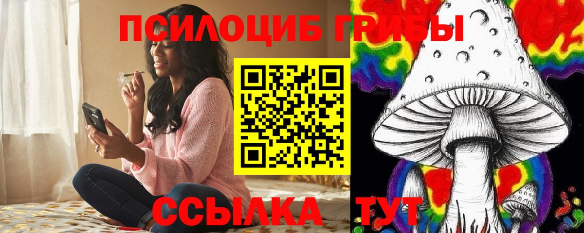 Йошкар-Ола  Галлюциногенные грибы мухоморы  где купить наркоту  Галлюциногенные грибы Magic Shrooms  Вход с VPN 