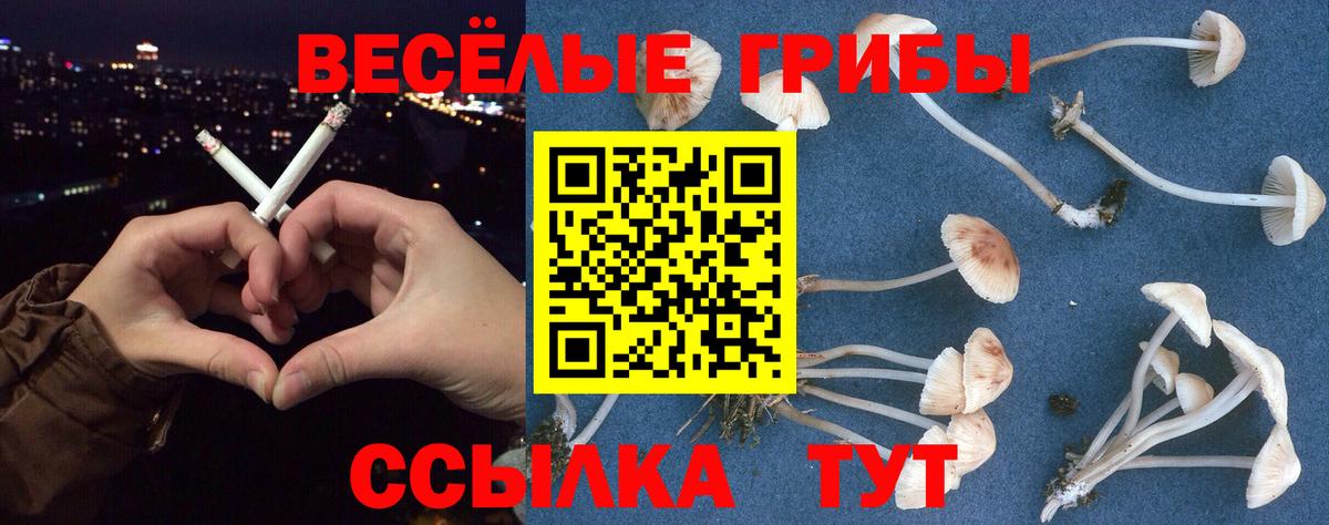 Галлюциногенные грибы ЛСД Йошкар-Ола